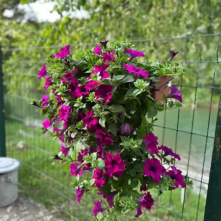 River Banja Luka Apartamento Bijeli Potok