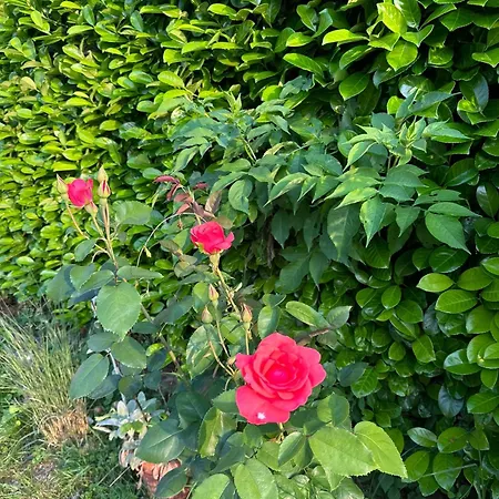 Apartamento River Banja Luka Bijeli Potok