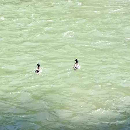 River Banja Luka Bijeli Potok