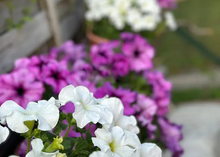 公寓 River Banja Luka