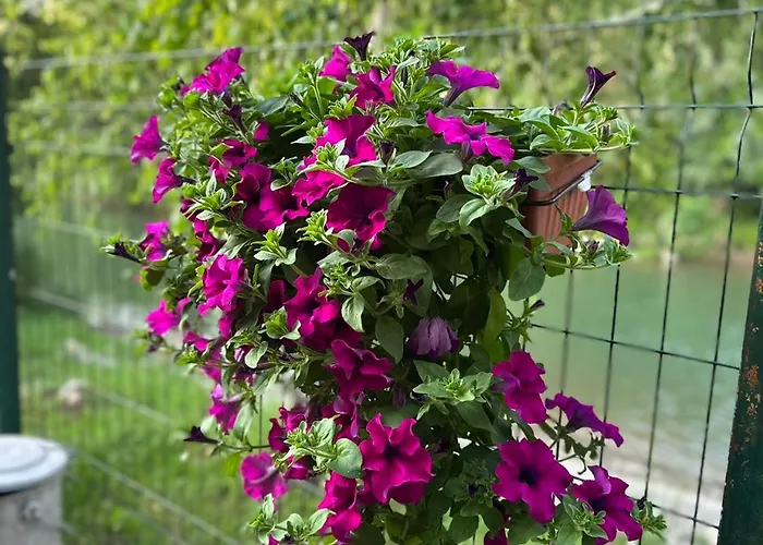 River Banja Luka 公寓 Bijeli Potok