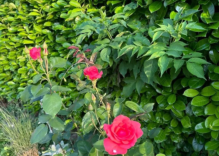 公寓 River Banja Luka Bijeli Potok